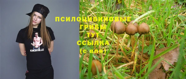 гашиш Алзамай