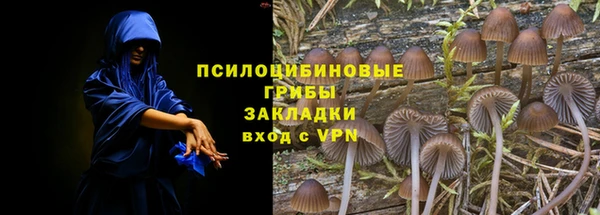 таблы Алексеевка