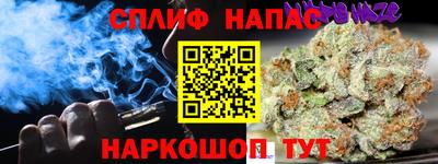стаф Тула